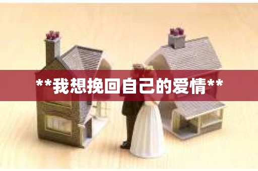**我想挽回自己的爱情**