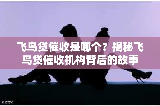 飞鸟贷催收是哪个？揭秘飞鸟贷催收机构背后的故事