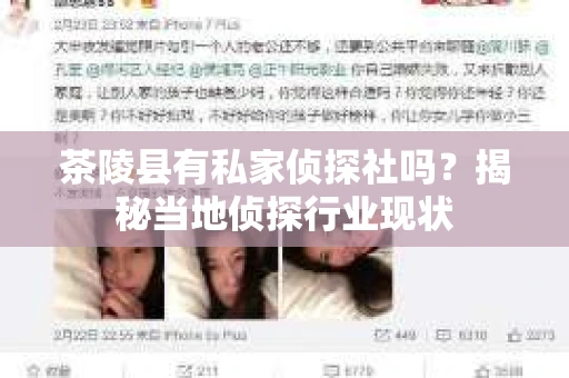 茶陵县有私家侦探社吗？揭秘当地侦探行业现状