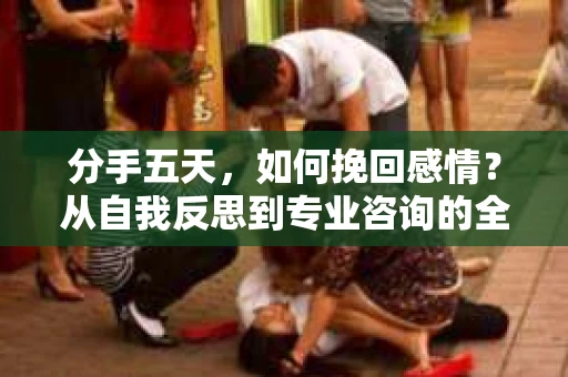 分手五天，如何挽回感情？从自我反思到专业咨询的全面解决方案